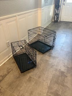 Two dogs Kennel
