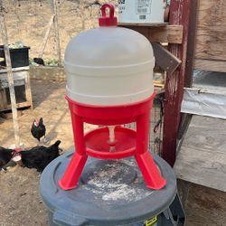 Chicken Waterer
