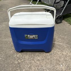 Cooler 