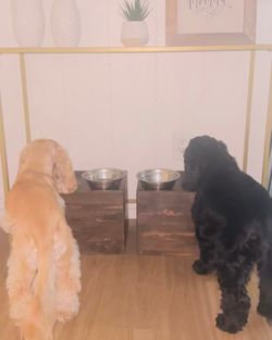 Handmade Raised Dog Bowl Stand (Pups Not Included)