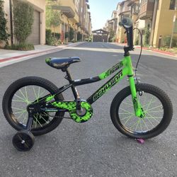 Schwinn Bike
