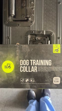 Dog Training Collar
