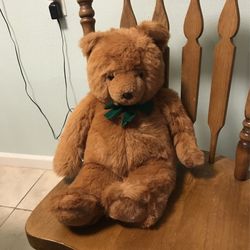 Cute  Teddy  Bears 🐻 