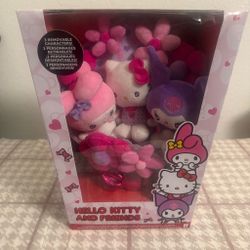Hello Kitty Bouquet 35$