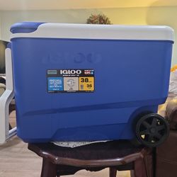 Igloo Cooler 