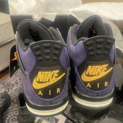 Jordan 4 Lake Show