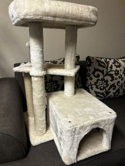 Cat Tower
