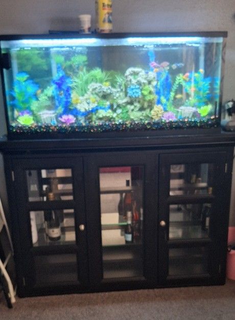 55 gallon Fish Tank