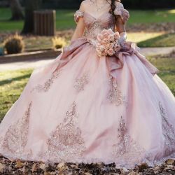 Quinceañera Dress For Sale 