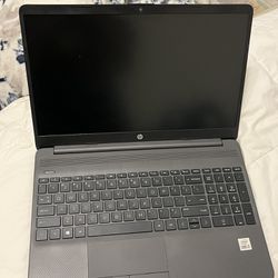 HP 250 G8 Notebook PC 