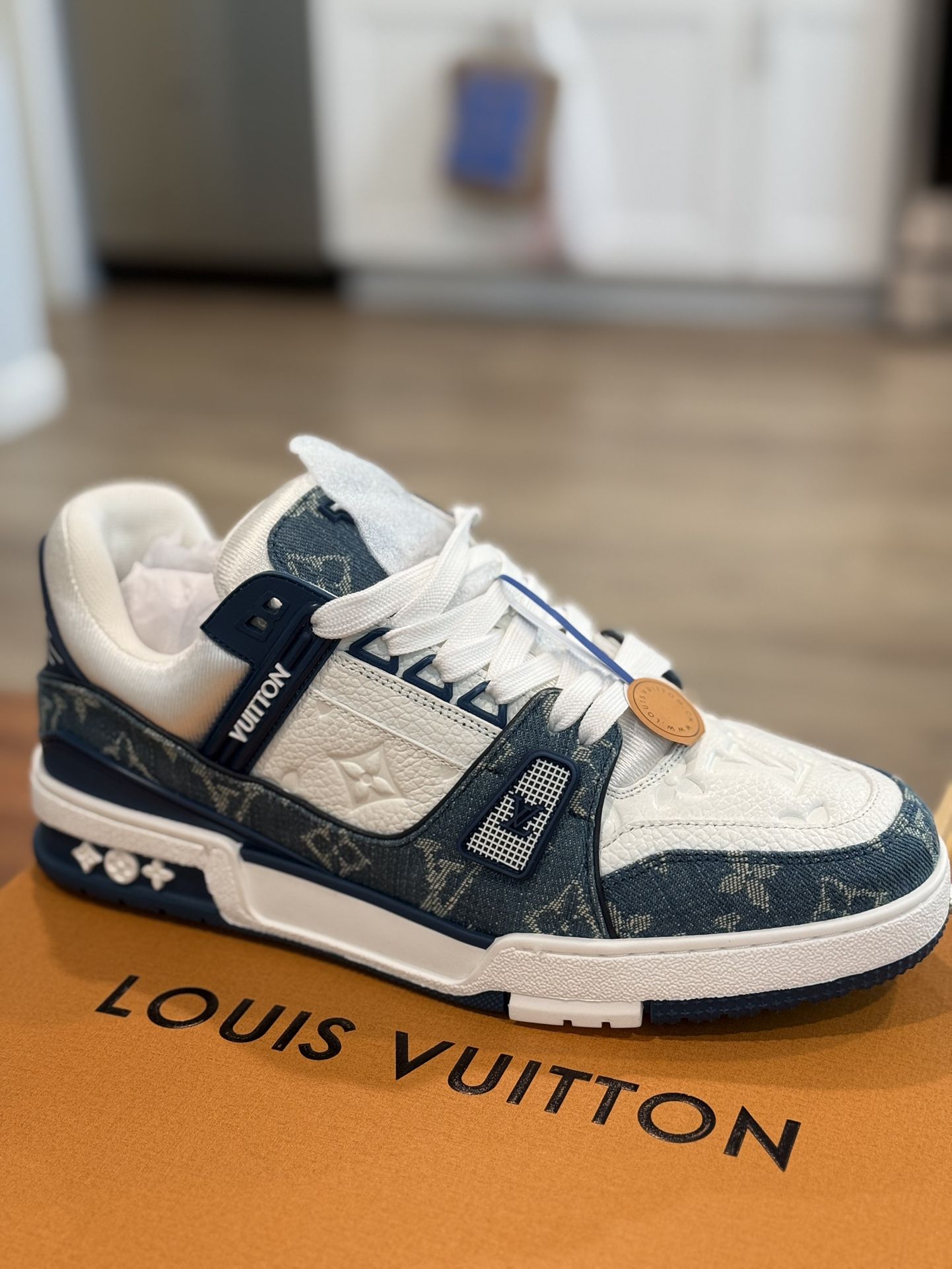Sneakers (Louis Vuitton)