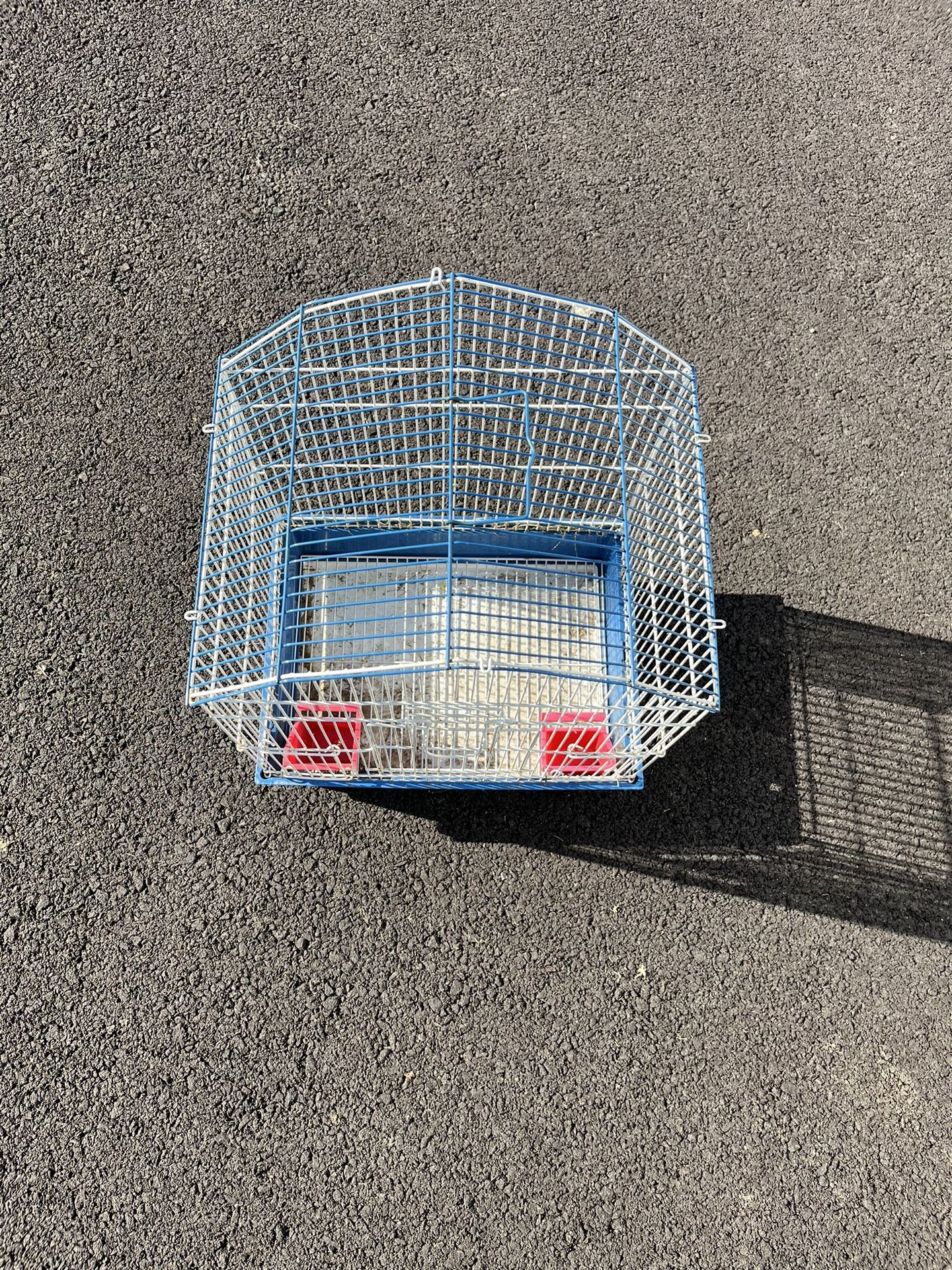 Bird Cage