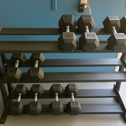 Complete Dumbbell Set with Rack  (Excellent  Condition)