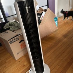 Fan 
