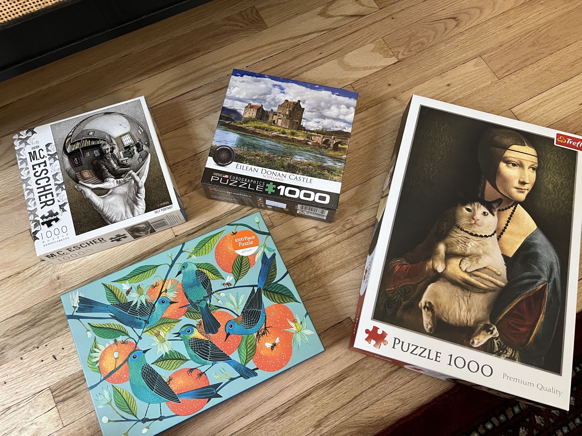 1000 Piece Puzzles