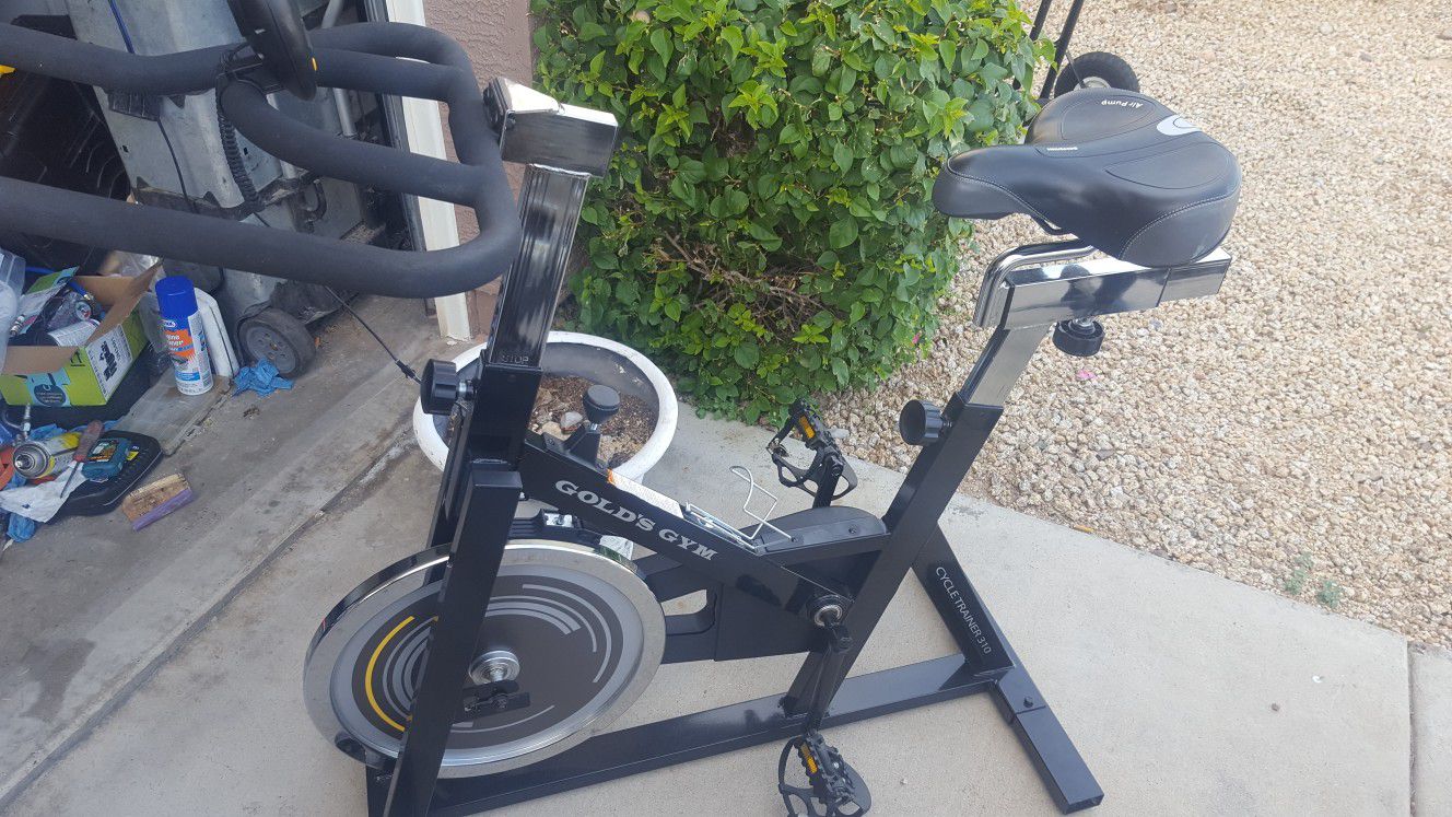 Gold gym exercise bike trainer 310