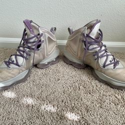 Nike LeBron 19 “Strive For Greatness” Basketball Shoes (CZ0203-004) Size 10.5