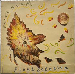 Peter Murphy Final Solution