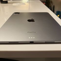 iPad Pro (11-inch) (4th Generation) 