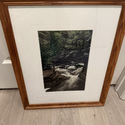Forest stream rock wood framed wall art 18 x 22