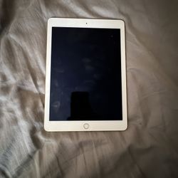 Apple iPad
