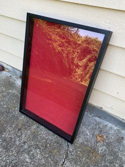 Glass Box Wood Frame Display