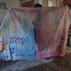 Gender Reveal Banner