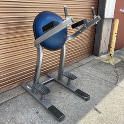 Life Fitness Commercial Bosu Leg Raise / Knee Raise  / Abdominal Ab Bench