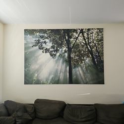 Forest Tree Canvas Ikea