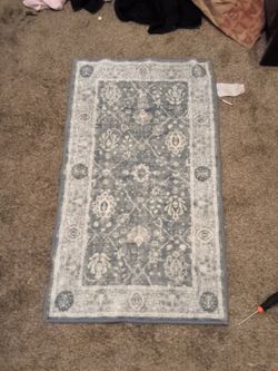 Sky blue and brown red rugs $5 each