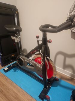 Sunny Spin bike