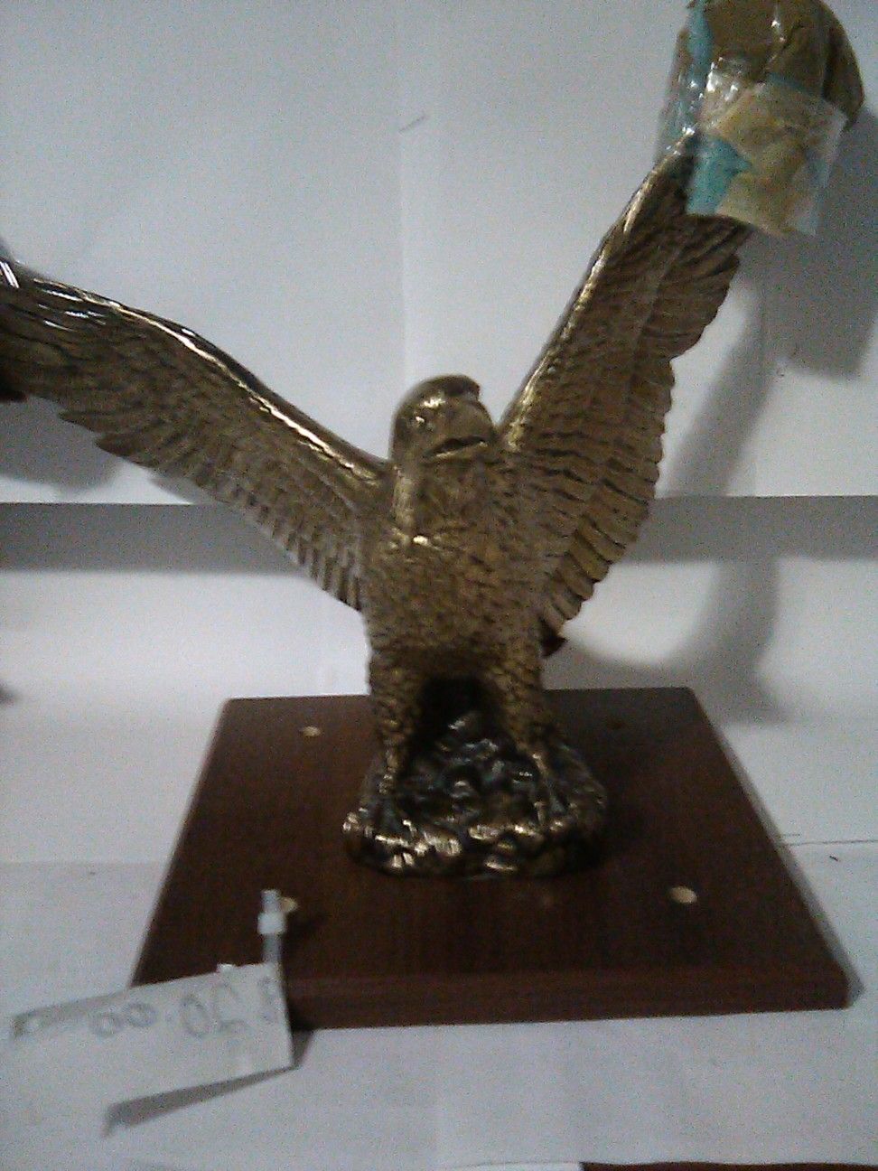 America Eagle
