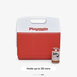 Playmate Cooler - 16QT