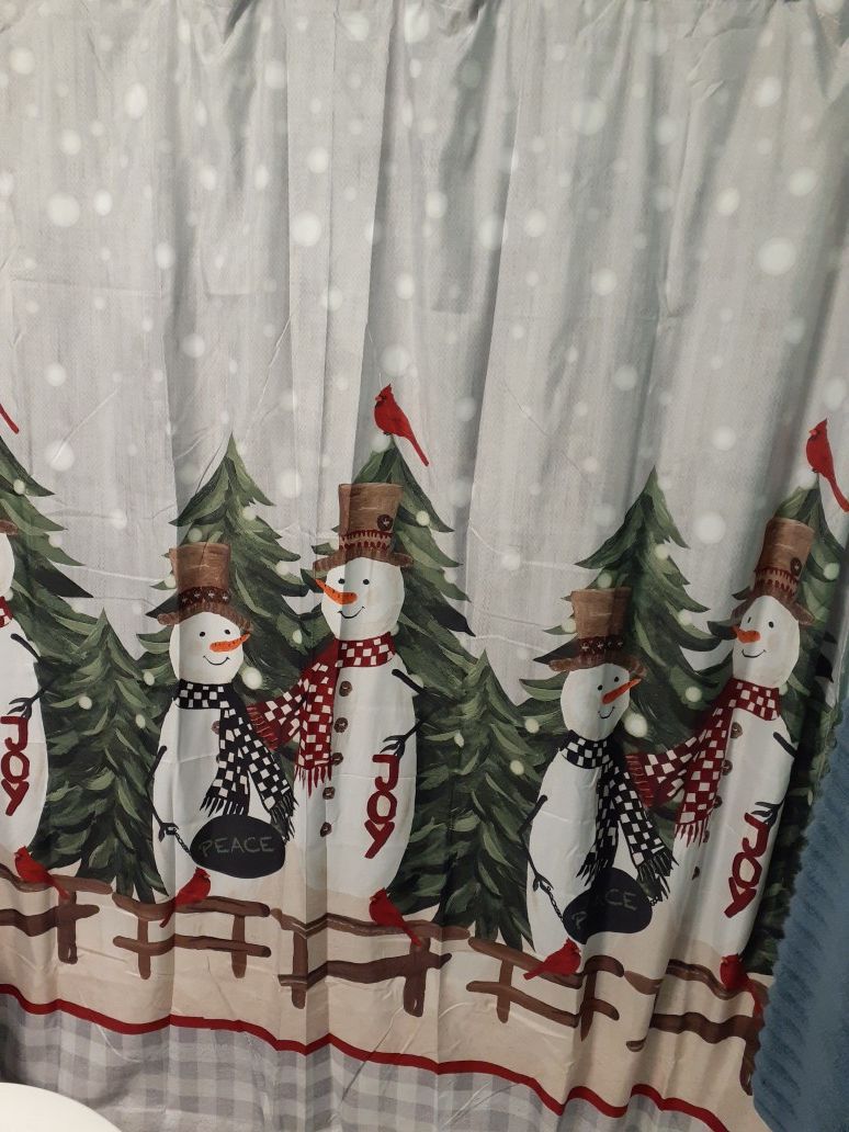 New curtain and rug