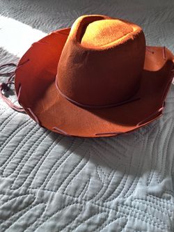 Woody Hat Adult Size New