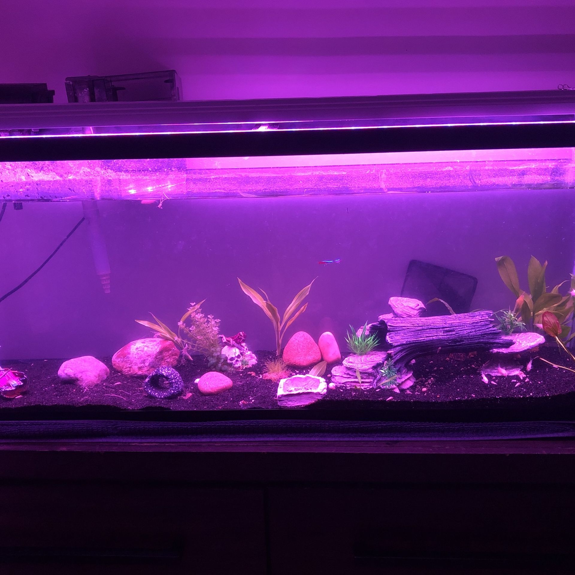 3 Purple Led Light For Plants Or For Aquariums