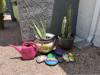 Plants/ Planters and Rocks
