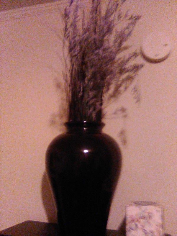 17 Inch Black Vase