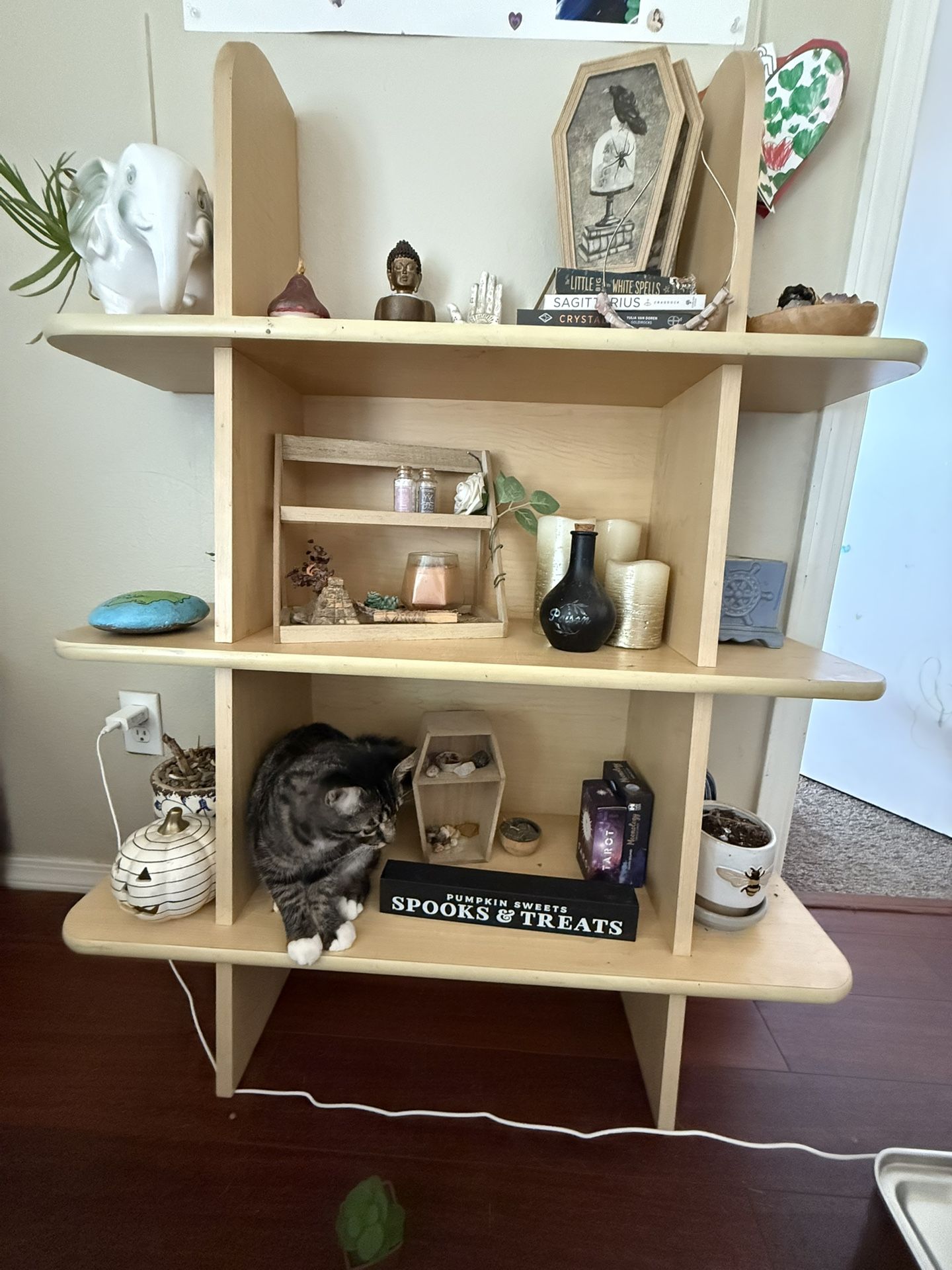 Shelf