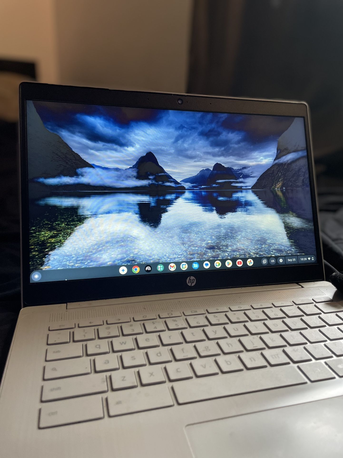 Hp Chromebook Laptop