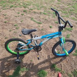 Bike with training wheels