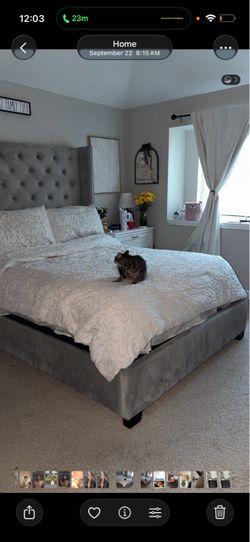 Bed-frame