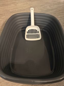 Cat litter