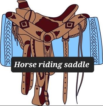 Horse Saddle
