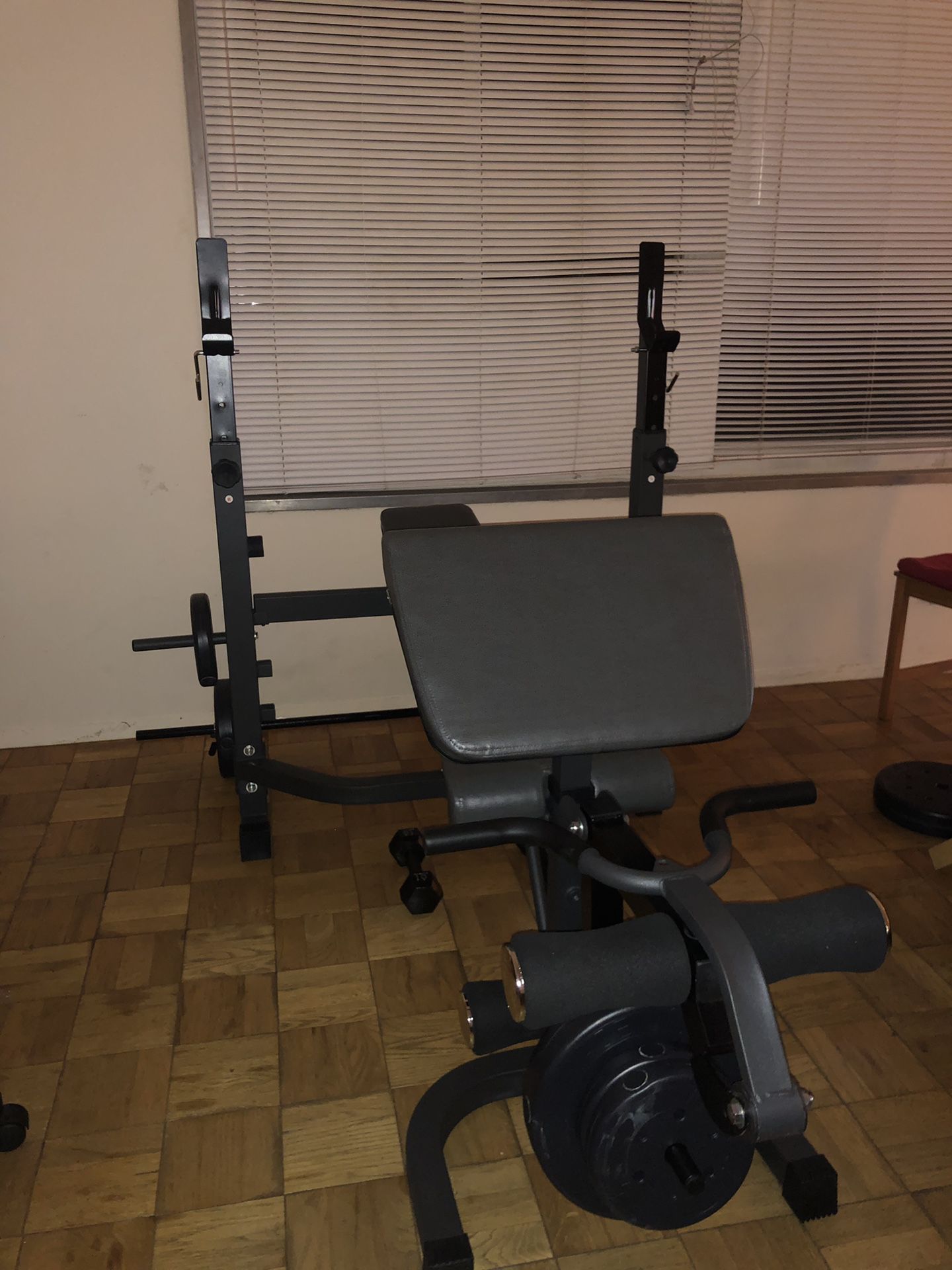 Weight Bench and Duracast Barbell Weight