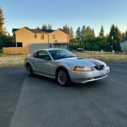 2000 Ford Mustang