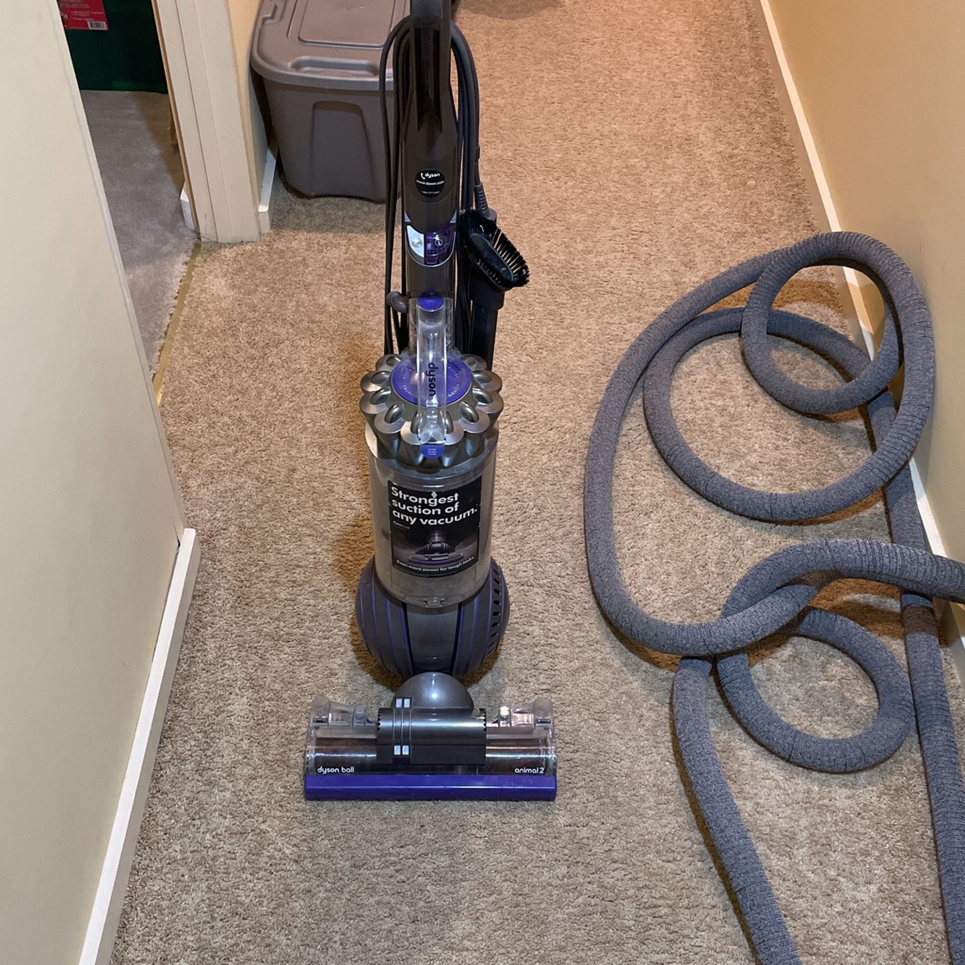 Dyson Ball Vacuum