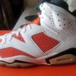 Air Jordan Retro 6 Gatorade size 8.5