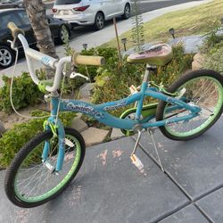 Schwinn Bike