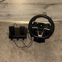 Budget racing wheel and pedal 